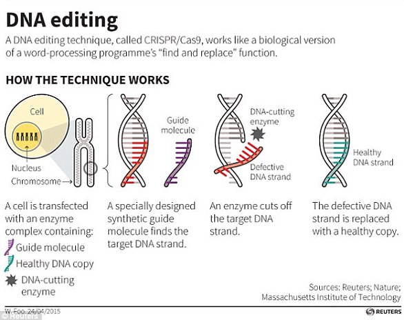 CRISPR/Cas9技术使用标记来识别突变的位置，并通过一种切割酶在某个精确的位置切割DNA，允许基因的一小部分被移除