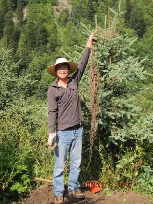 图8。 西南亚高山的“掘根者”（图片来源：作者提供）