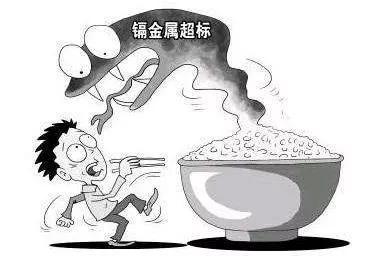 图片来自网络