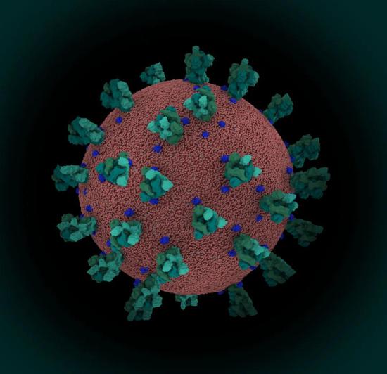 SARS-CoV-2冠状病毒 （图片来源：https：//www.rcsb.org/）